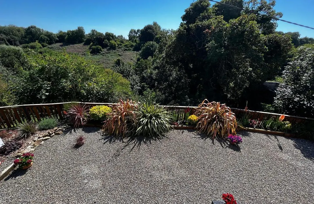 Rose Cottage B&B-1