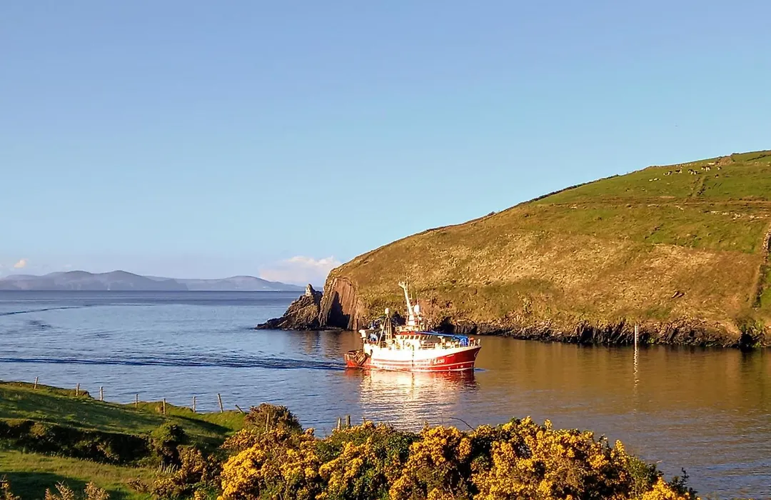 Eask View Dingle-1
