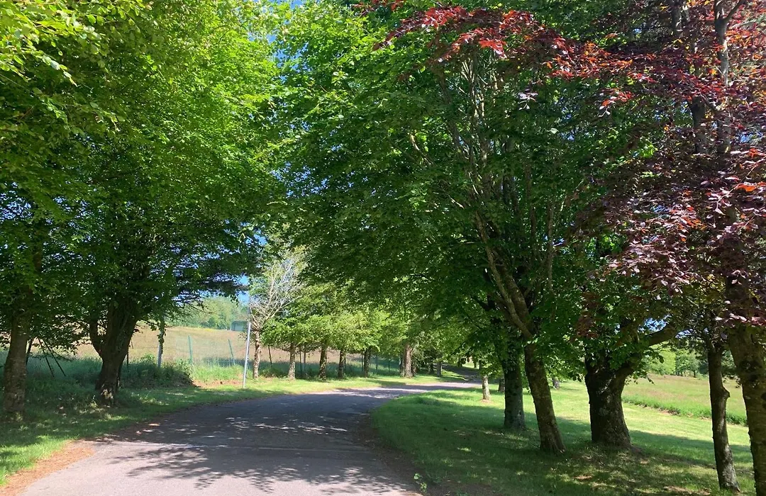 Fernhill Lodge Carrigaline-1