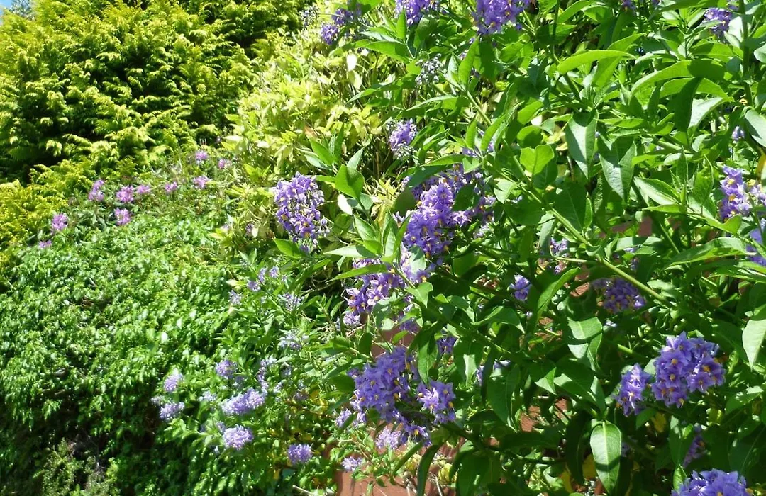 Diamond Hill Country House-1
