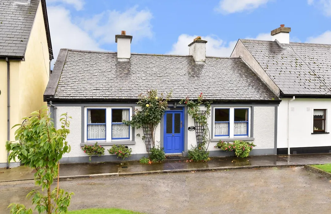 Boffin Lodge Guest House-1