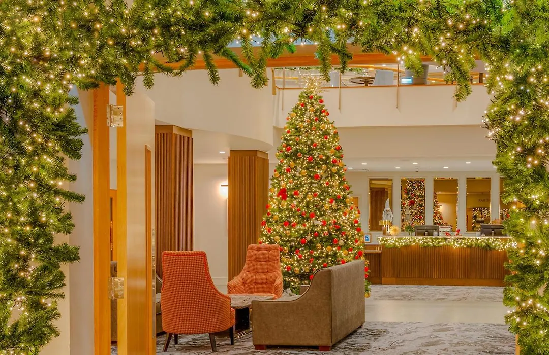 Plaza Hotel Tallaght-1