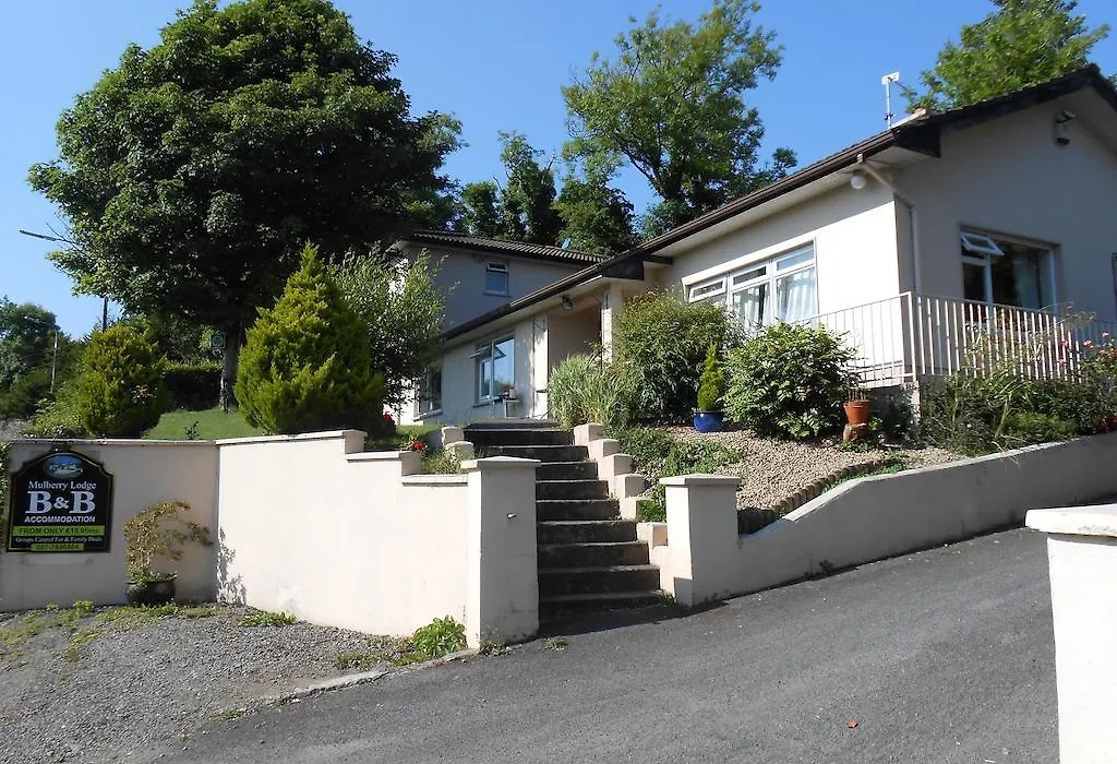 Mulberry Lodge B&B-1