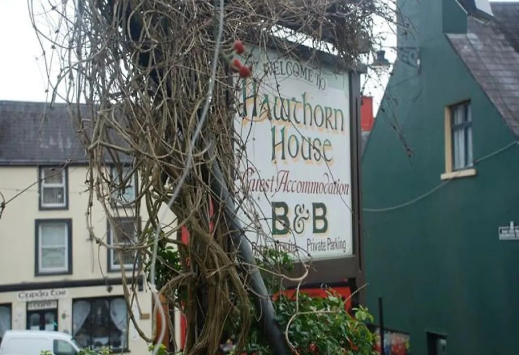 Hawthorn House Guesthouse-1