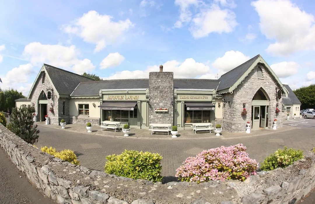 Auburn Lodge Hotel & Leisure Centre-1