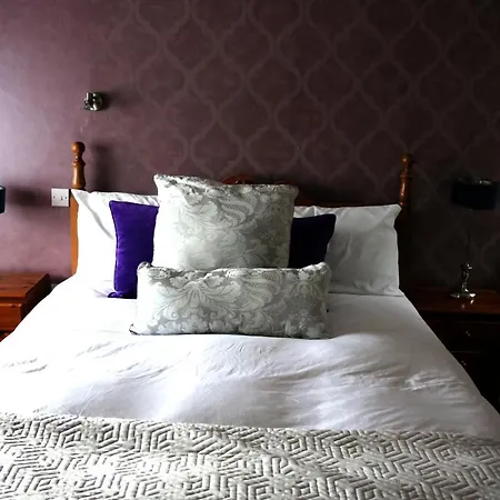 New Park Hotel Athenry-2