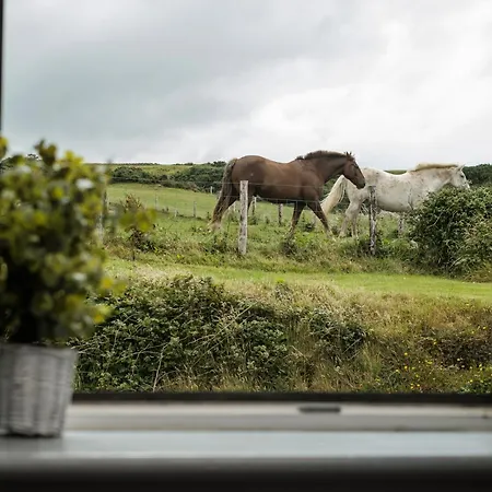 The Lodge Doolin-3
