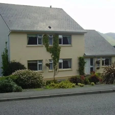 Adare House Bed & Breakfast-3