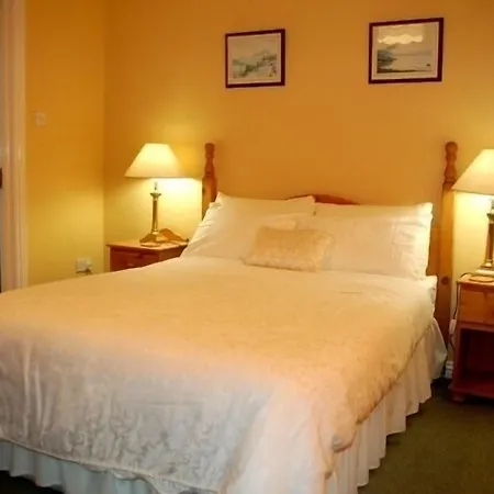 Adare House Bed & Breakfast-2
