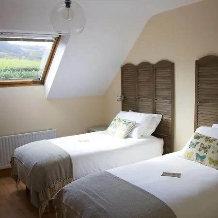 Madra Rua Organic Accommodation-2