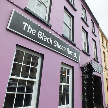 The Black Sheep Hostel-3
