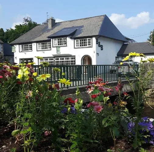 Ryan'S River Lodge B&B Cong