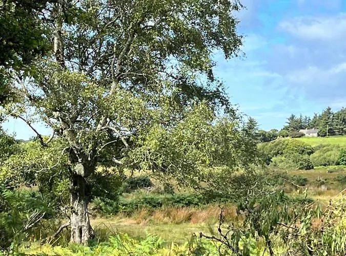 The Hazel Hut