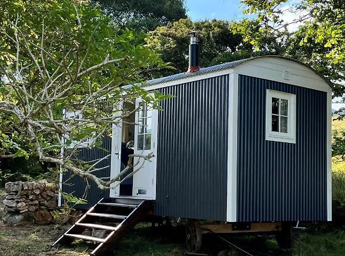The Hazel Hut