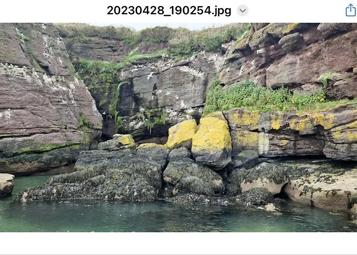 Sandy Cove