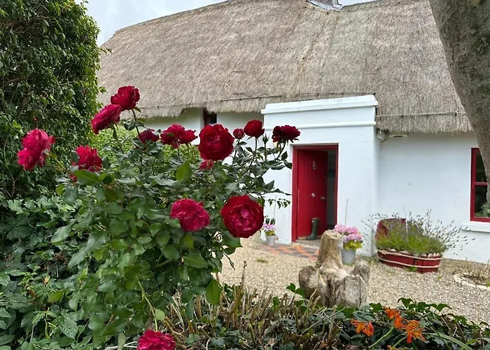 Quay House Bed & Breakfast Wexford