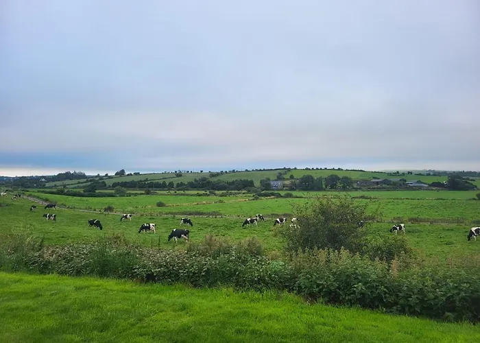 Radharc Na Greine