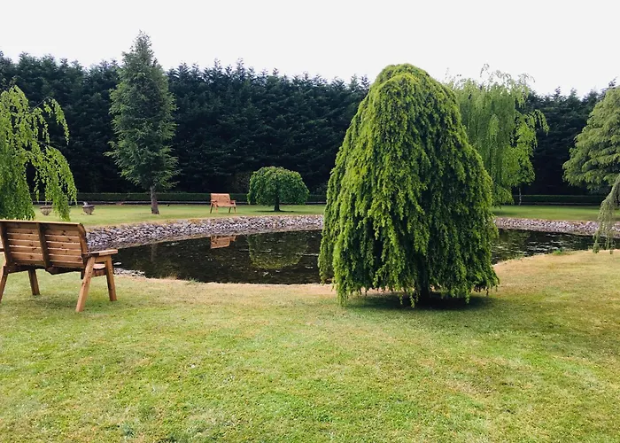 Castledale Bed & Breakfast Sligo