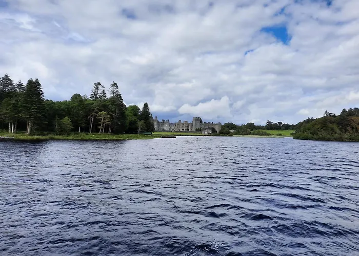 Whitethorn Lodge, Bed & Breakfast, Lackafinna
