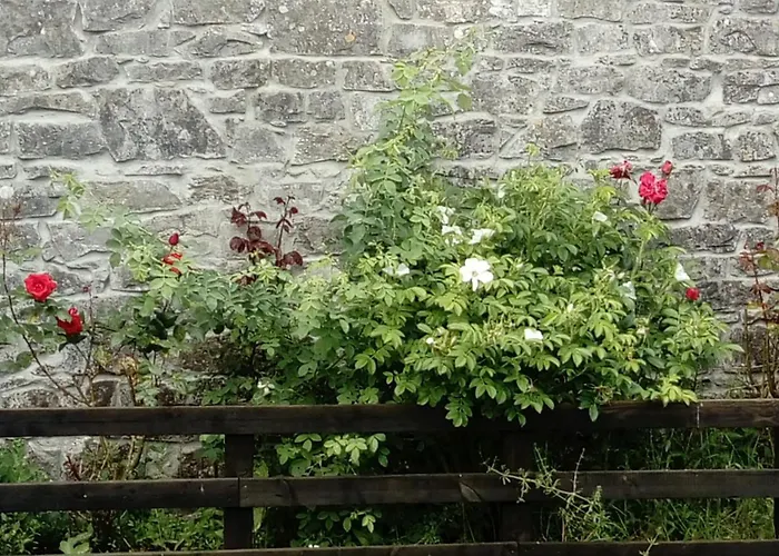 Augherea House Longford
