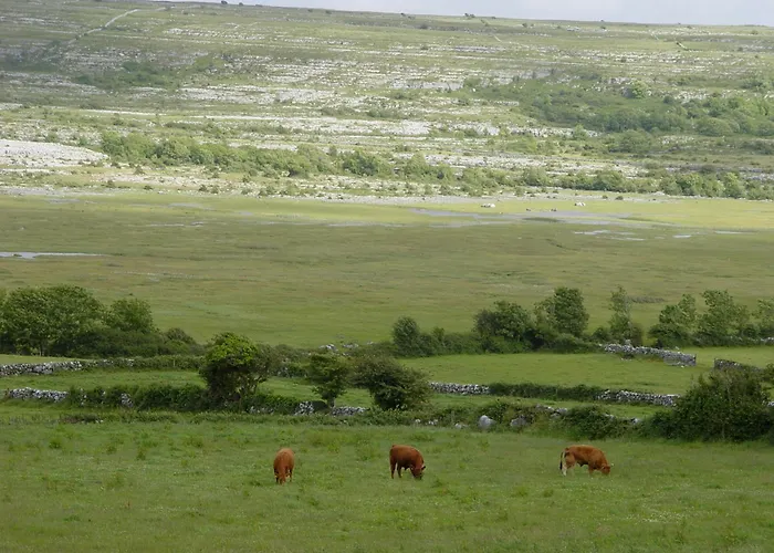 Clare'S Rock Self-Catering Accommodation