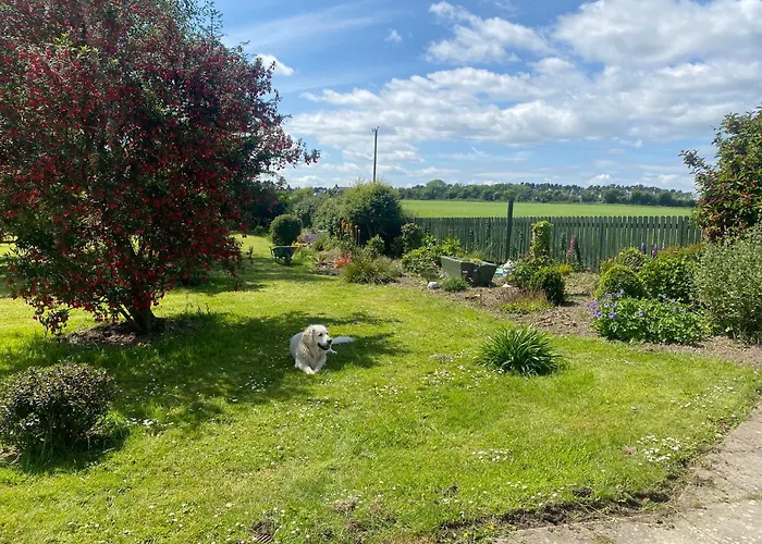 Nolans Organic Farm