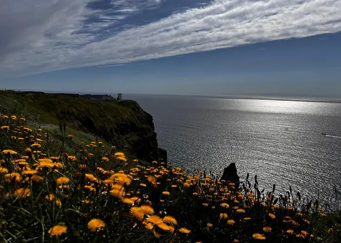 Puffin Rooms B&B