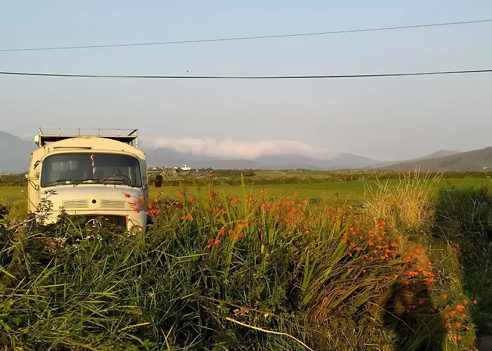 Ballincolla Base Camp