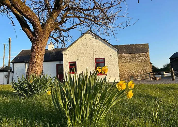Orchard Cottage Near Glasson Village