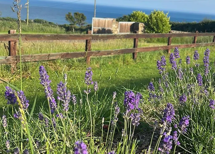 Follies Suites Ballyvoile
