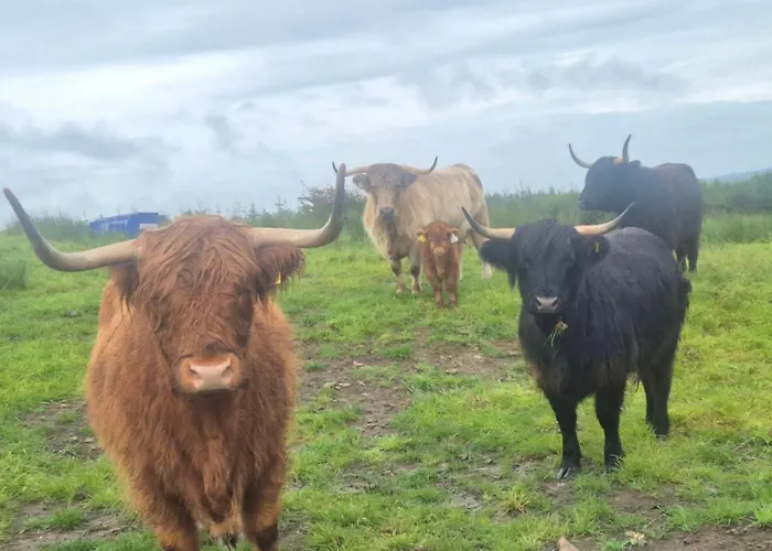 Bockagh Farm