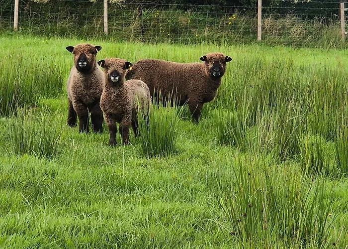 Bockagh Farm