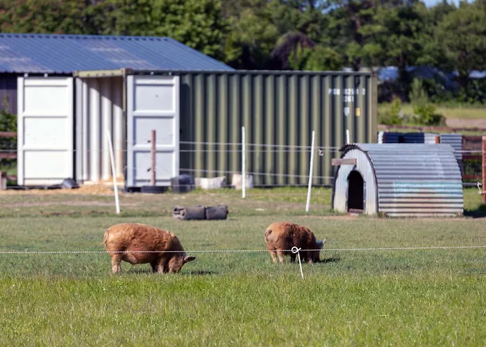 Hidden Acres- Luxury Glamping Pod