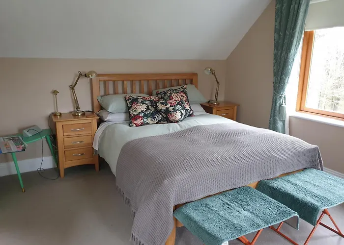 Forest View Woodland Lodge