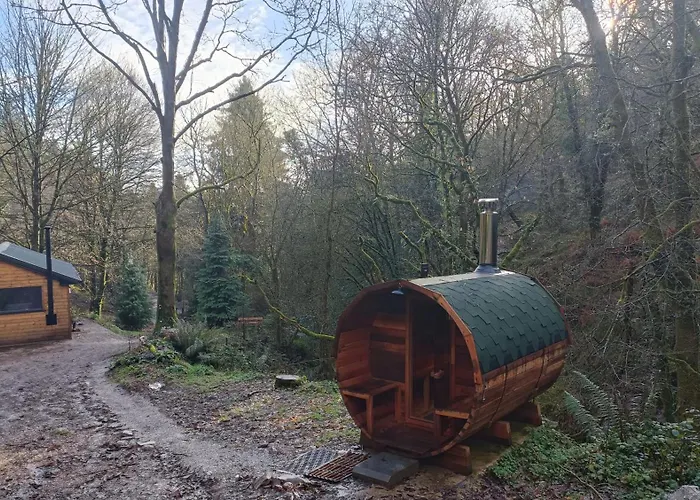Stream-Side Cabin With Private Sauna Option