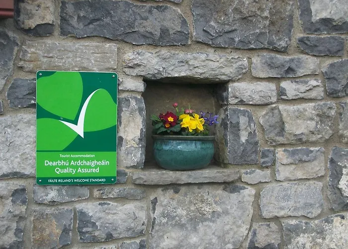 Aille River Tourist Hostel And Campsite Doolin