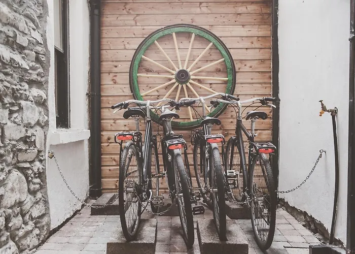 The Black Sheep Hostel